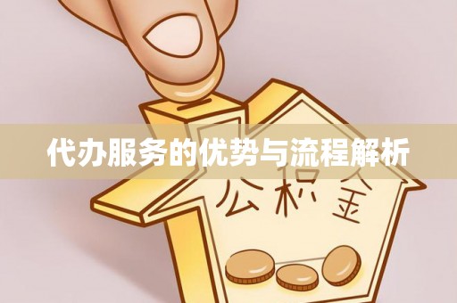 康马代办服务的优势与流程解析
