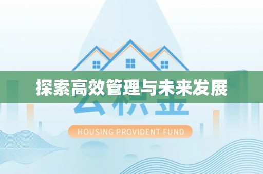 康马探索高效管理与未来发展