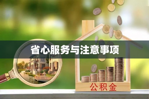 康马省心服务与注意事项
