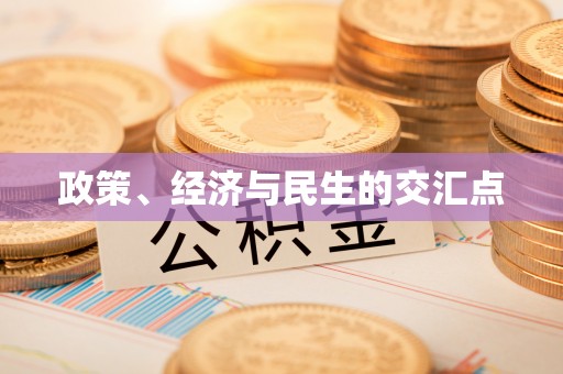 康马政策、经济与民生的交汇点