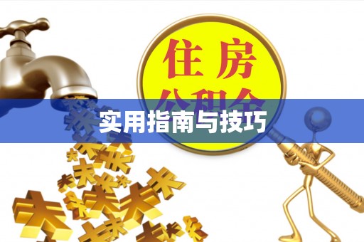 康马实用指南与技巧