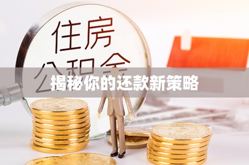 康马揭秘你的还款新策略