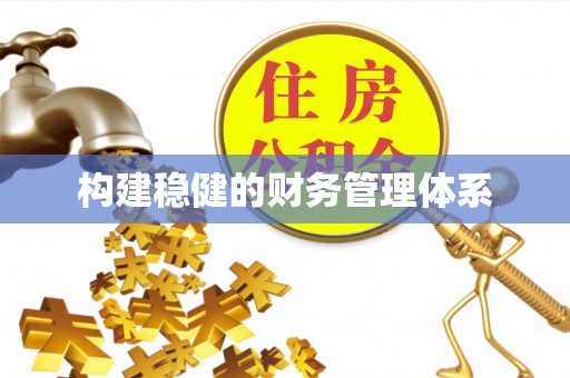 康马构建稳健的财务管理体系