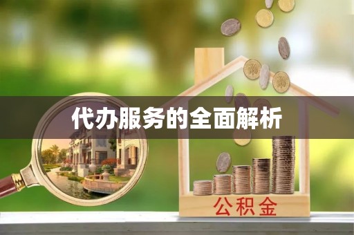 康马代办服务的全面解析