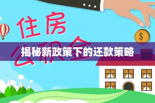 康马揭秘新政策下的还款策略