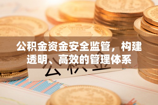 康马公积金资金安全监管，构建透明、高效的管理体系