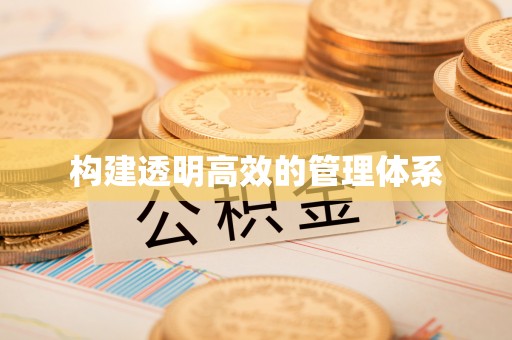 康马构建透明高效的管理体系
