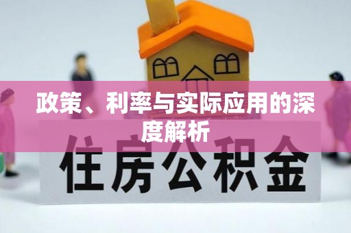 康马政策、利率与实际应用的深度解析