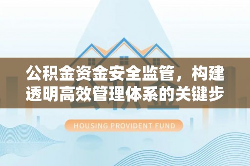 康马公积金资金安全监管，构建透明高效管理体系的关键步骤