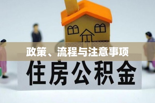 康马政策、流程与注意事项