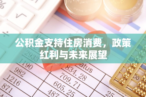 康马公积金支持住房消费，政策红利与未来展望