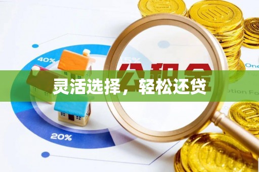 康马灵活选择，轻松还贷