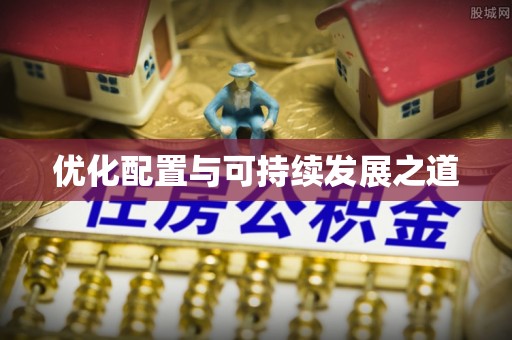 康马优化配置与可持续发展之道