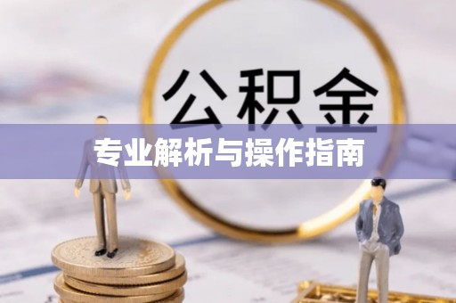 康马专业解析与操作指南