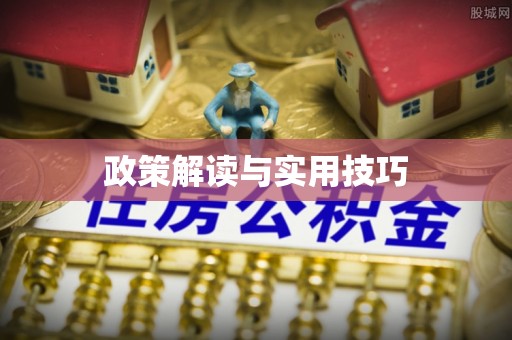 康马政策解读与实用技巧