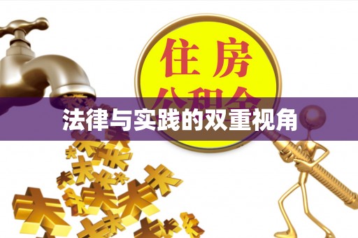 康马法律与实践的双重视角