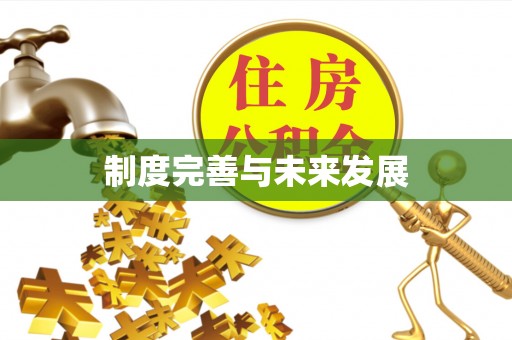 康马制度完善与未来发展