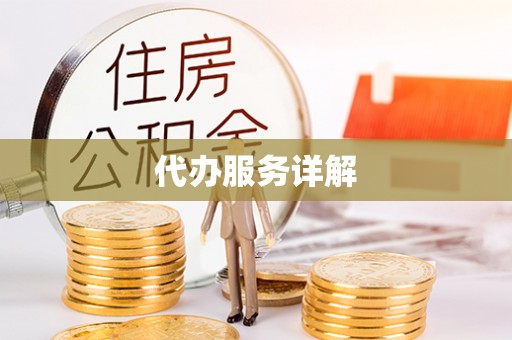康马代办服务详解