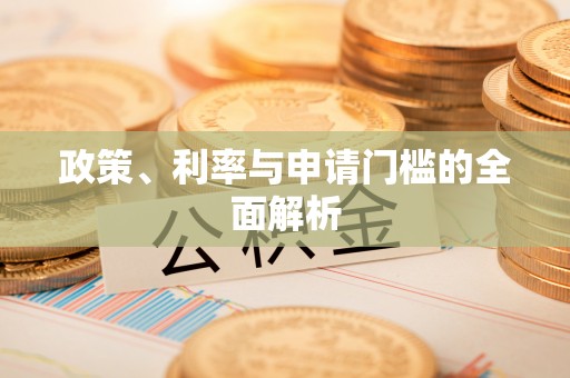 康马政策、利率与申请门槛的全面解析