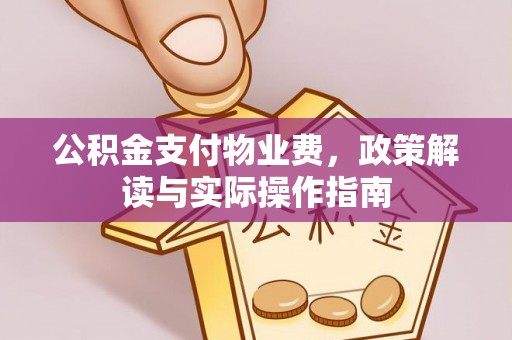 康马公积金支付物业费，政策解读与实际操作指南