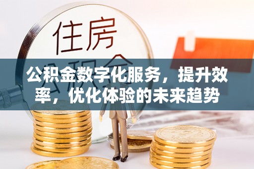 康马公积金数字化服务，提升效率，优化体验的未来趋势