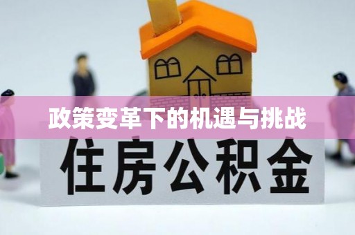 康马政策变革下的机遇与挑战