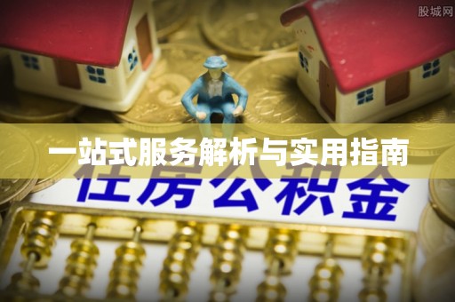 康马一站式服务解析与实用指南