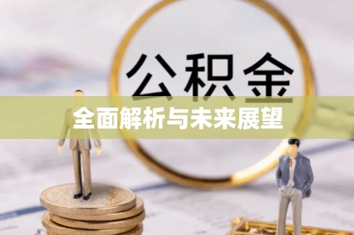 康马全面解析与未来展望