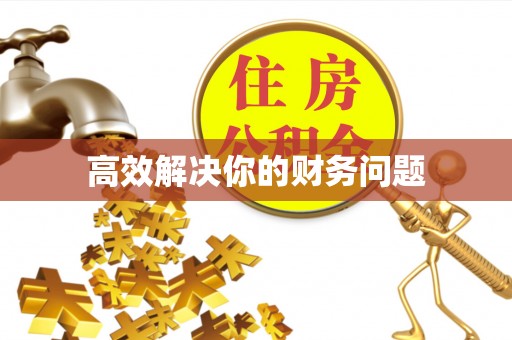 康马高效解决你的财务问题