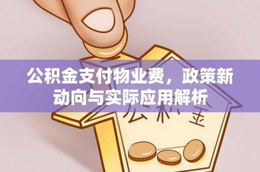 康马公积金支付物业费，政策新动向与实际应用解析