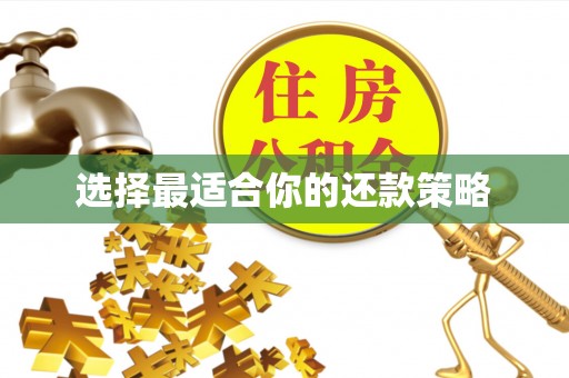 康马选择最适合你的还款策略