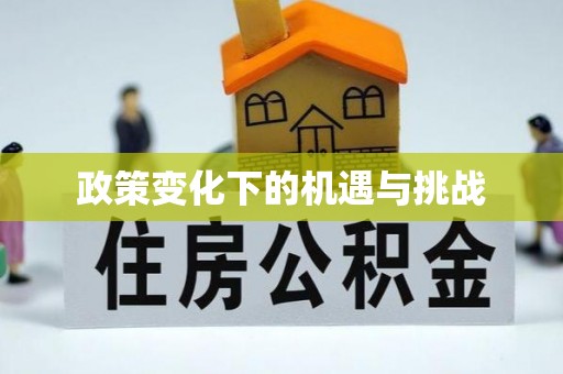 康马政策变化下的机遇与挑战